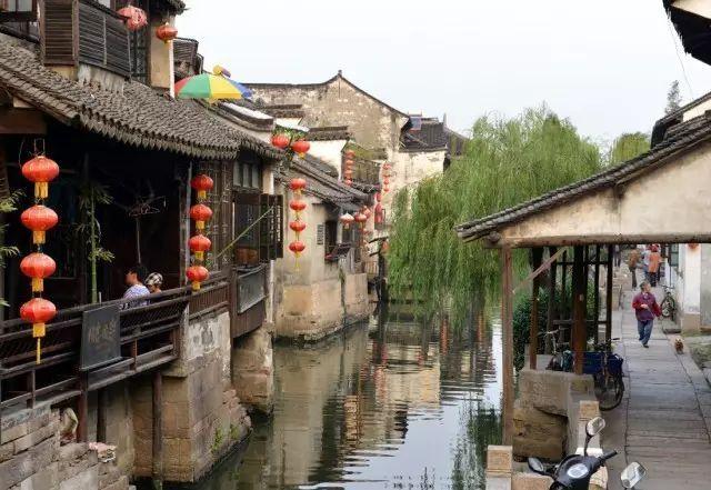 动物帮帮忙保卫家园